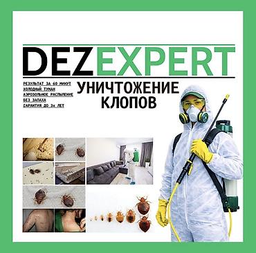 j 3: Дезинфекция, дезинсекция, | Клопы, | Транспорт, Офисы, Квартиры — 1