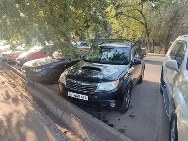 автомобиль субару форестер: Subaru Forester: 2009 г., 2.5 л, Автомат, Бензин, Кроссовер