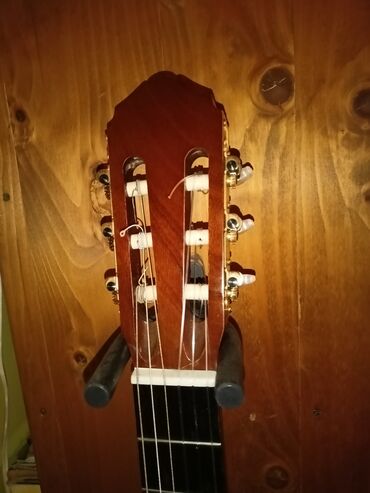 Gitare: Castillo classical guitar model cg365 — 2