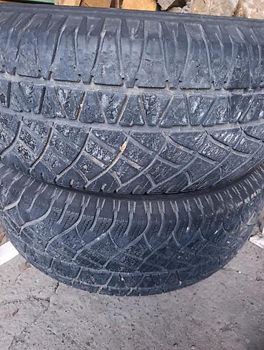 195 65 14 с: Пара автомобильных шин Michelin. 2 штука - Тип: летние (рисунок — 2