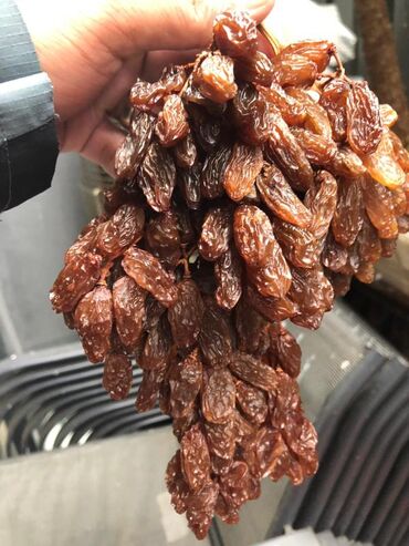 Meyvə qurudan aparatlar: Qurutma Aparatı Model DT600H Qızdırıcı aqreqat 6HP(380V) 3 faza -da lalafo.az — 2 Meyvə qurudan aparatlar: Qurutma Aparatı Model DT600H Qızdırıcı aqreqat 6HP(380V) 3 faza — 2