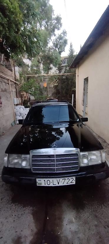 Транспорт: Salam Mercedes həvəskarları "yeşqa furqon" satılır. 3 sadə mator — 1