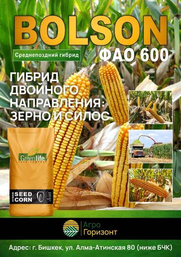 кукуруза красная речка: Семена: Кукуруза
