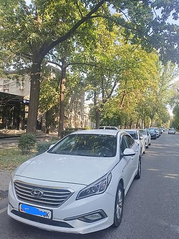 аккорд 10 поколения: Hyundai Sonata: 2016 г., Седан — 2