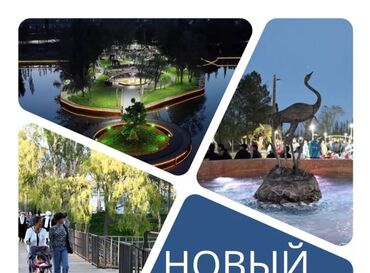 Иссык-Куль 2025: Койко-место, У ДОРОГИ Чолпон-Ата, Парковка, стоянка — 19