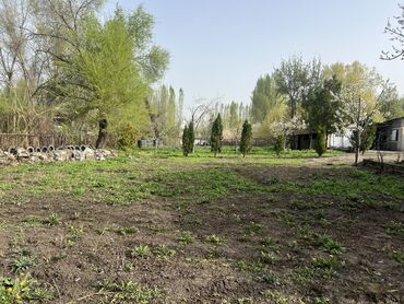 как заработать дома деньги: Үй, 200 кв. м, 13 бөлмө, Менчик ээси, Косметикалык оңдоо