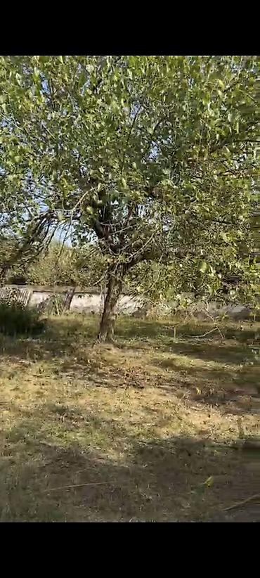 kohne ev: 21 sot, Tikinti, Mülkiyyətçi, Kupça (Çıxarış) — 1