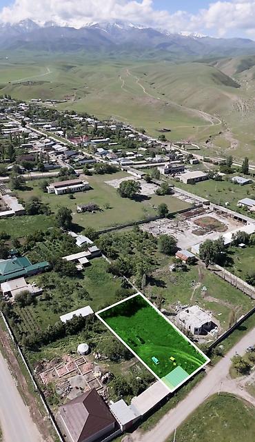 кантейнер 40 т: 10 соток, Кызыл китеп — 5