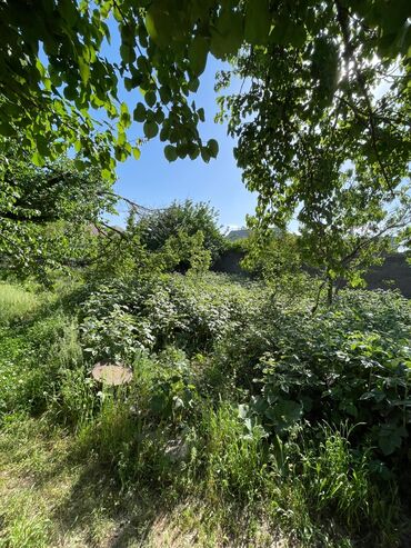 Продажа домов: Дом, 90 м², 3 комнаты, Собственник, Косметический ремонт — 20