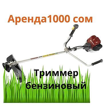 Аренда инструментов, оборудования: Лесница 8 метров 800с в сутки 
Доставка по городу договорная — 5