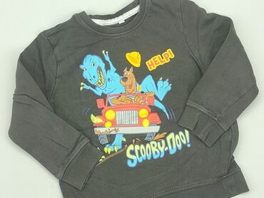 Sweatshirts: Sweatshirt, 5-6 years, 110-116 cm, condition - Good