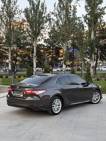 обмен 124: Toyota Camry: 2019 г., 2.5 л, Автомат, Гибрид, Седан — 6