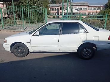 55 camry: Toyota Corolla: 1995 г., Механика, Бензин, Седан — 2