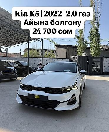 Kia K5: 2022 г., 2 л, Автомат, Газ, Седан