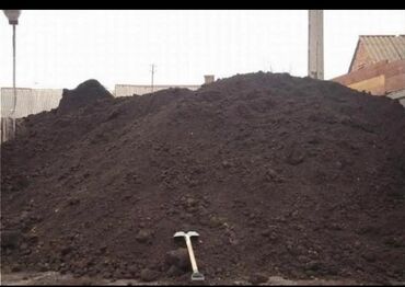 Toxumlar: Şəhid ailələrinə çatdırılma pulsuzdur. Qara torpaq Şamaxı İsmayıllı — 16