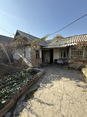 куплю дом в бишкек: 60 м², 4 комнаты, Можно с животными — 1