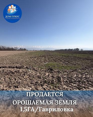 орошаемое поле: 150 соток, Для сельского хозяйства — 1