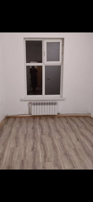 аренда квартиры с животными: 21 м²