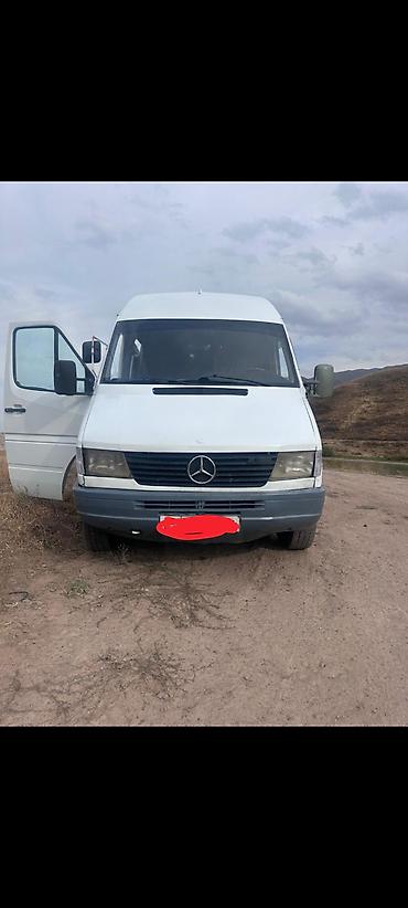 Mercedes-Benz: Mercedes-Benz Спринтер: 1998 г., Бус — 3