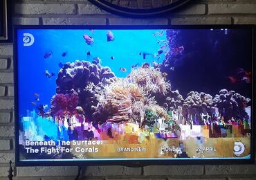 hisense smart tv: Televizor LG 98"