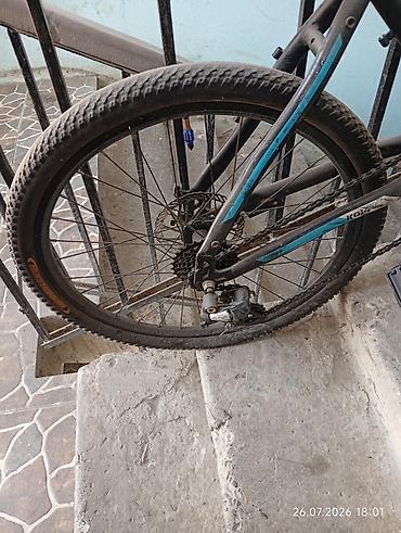 bmx gtr 334: Orginal və keyfiyyətli möhkəm Trinx markasına aid (24 ölçüdə) — 5