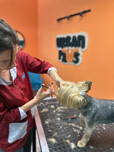 Psi: Urban Paws – salon za šišanje i negu pasa Novi Sad Ako tražite