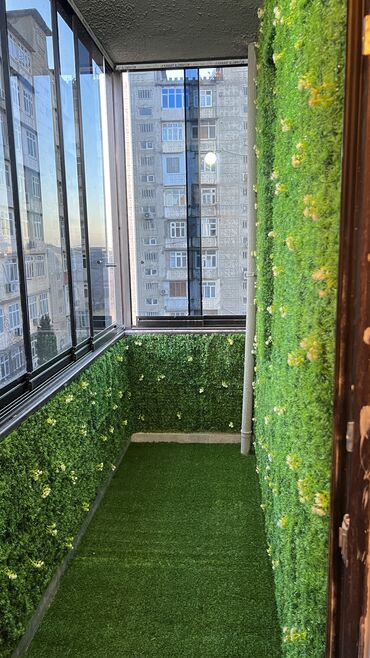 Digər ev dekoru: 6 man baslayan qiymetler — 11