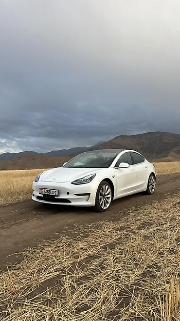 тесла модел 3: Tesla Model 3: 2020 г., Автомат, Электромобиль, Седан — 6