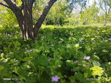 Bağ evlərinin kirayəsi: 100 kv. m, 3 otaqlı, Kombi — 9