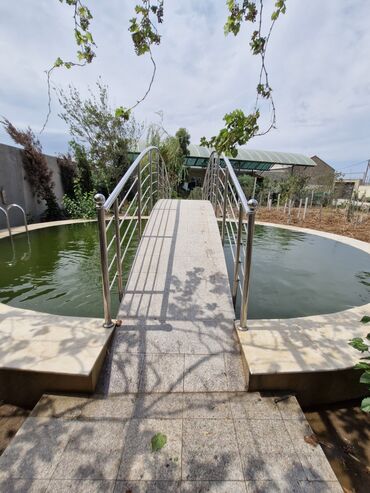 Balıqlar: Qızıl balıq, Sülhsevər, Ünvandan götürmə — 1