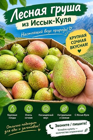 порода бука: Груши Оптом, Самовывоз — 1