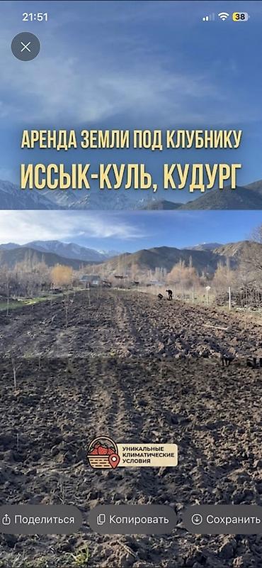 гараж с ямой аренда: Для сельского хозяйства — 1