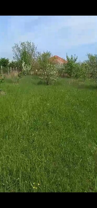 Torpaq sahələrinin satışı: 8 sot, Kənd təsərrüfatı, Mülkiyyətçi, Bələdiyyə -da lalafo.az — 13 Torpaq sahələrinin satışı: 8 sot, Kənd təsərrüfatı, Mülkiyyətçi, Bələdiyyə — 13