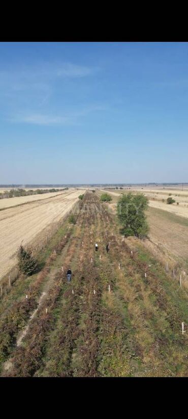 продажа домоав в канте: 200 соток
