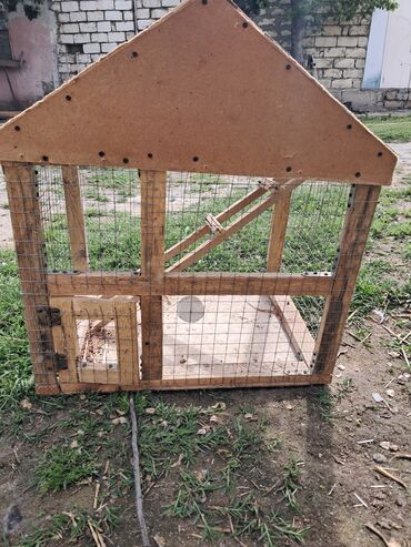 Yuvalar: Qefesderin her biri satilir — 1