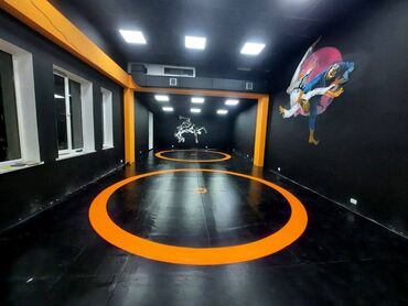 Другие тренажеры: Профессиональные спортивные маты для единоборств Назначение: - борьба — 20