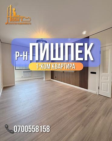 1 комната, 45 м², Пишпек Элитка, 9 этаж, Дизайнерский ремонт