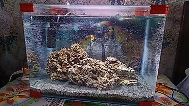 Şüşə akvarium seti - Ölçü: təxmini 60×35×40 sm (50–60 litr həcmə