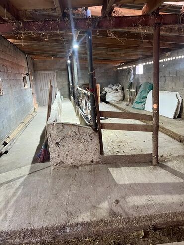 Продажа домов: Барачный, 130 м², 5 комнат, Собственник, Старый ремонт at lalafo.kg — 12 Продажа домов: Барачный, 130 м², 5 комнат, Собственник, Старый ремонт — 12