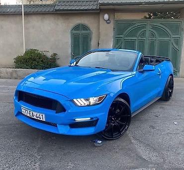 Nəqliyyat vasitəsinin icarəsi: Günlük, Depozitsiz, Qalmamaq şərti ilə — 29