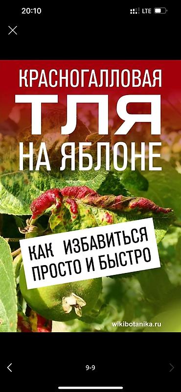Дворники, садовники: 🌱Я садовник обработка сада ранее весенней обработка плодовых — 9