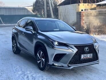 lexus rx 300 прадаю: Lexus NX: 2018 г., 2 л, Автомат, Гибрид, Кроссовер