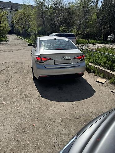 купить хюндай гибрид: Hyundai Sonata: 2016 г., 2 л, Автомат, Гибрид, Седан — 3