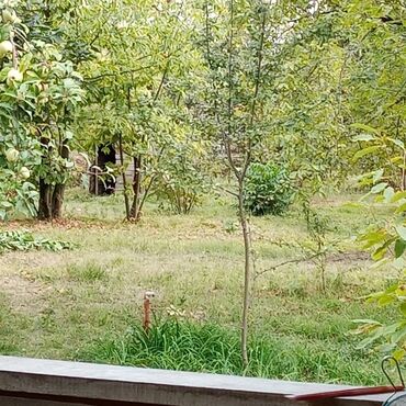 Torpaq sahələrinin satışı: Tikinti, Mülkiyyətçi, Kupça (Çıxarış), Bələdiyyə, Texniki pasport — 5