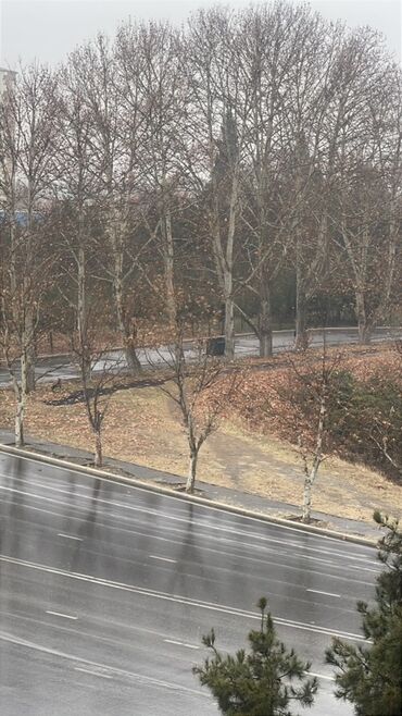 Köhnə tikili: Satılır: Yeni Gəncə icra hakimiyyətinin qarşısı Karizma restoranın — 16