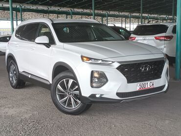зеркало с камерой заднего вида: Hyundai Santa Fe: 2018 г., 2.4 л, Типтроник, Бензин, Кроссовер