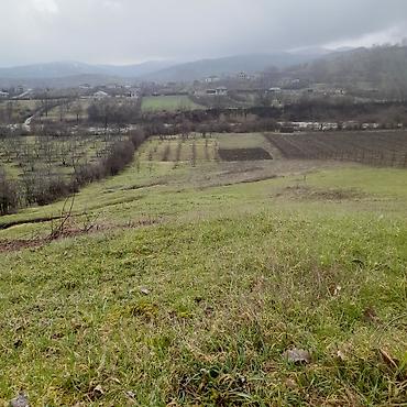 Torpaq sahələrinin satışı: Kənd təsərrüfatı — 2