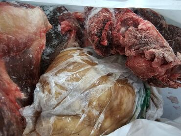 таза кандуу тай: Таза тондурулган Уй жана Жылкынын эти сатылат. Жылкы эти 520 сомдон