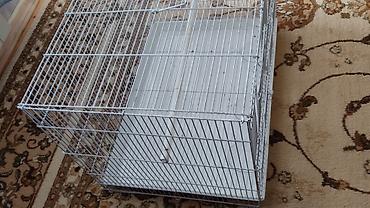 sari qus: Böyük ölçülü quş qəfəsi - Material: möhkəm metal karkas, ağ rəngli — 1