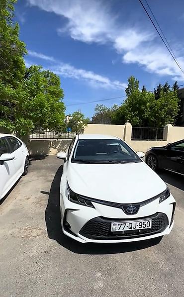 🚖 BUTA TAKSİ PARKA XOŞ GƏLMİSİNİZ! ✅ Sertifikatlı və sertifikatsız lalafo.az -da 🚖 BUTA TAKSİ PARKA XOŞ GƏLMİSİNİZ! ✅ Sertifikatlı və sertifikatsız
